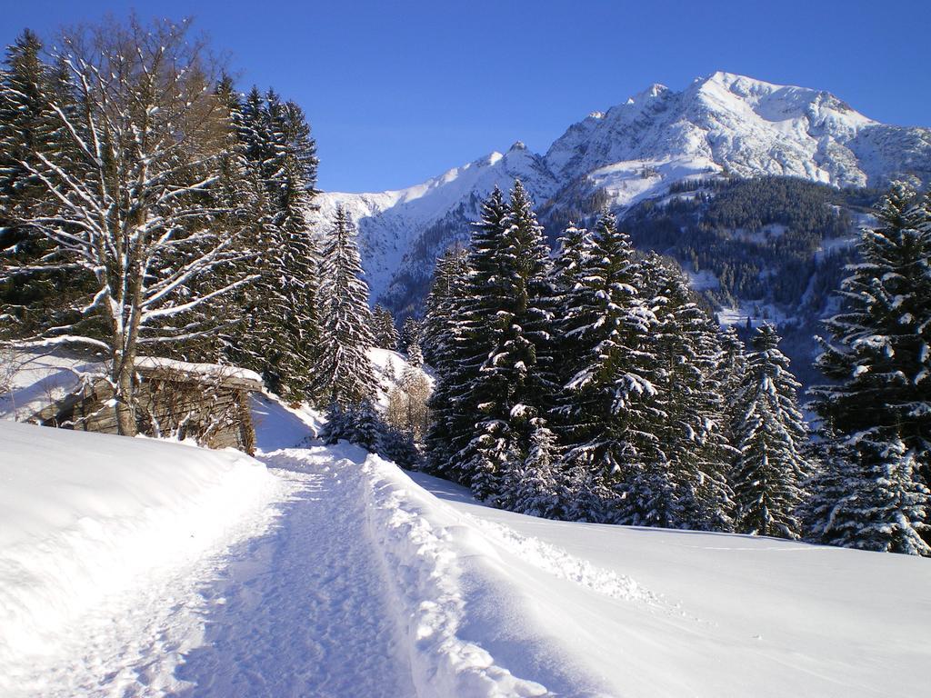 ホテルHaus Bergfrieden バッハ エクステリア 写真